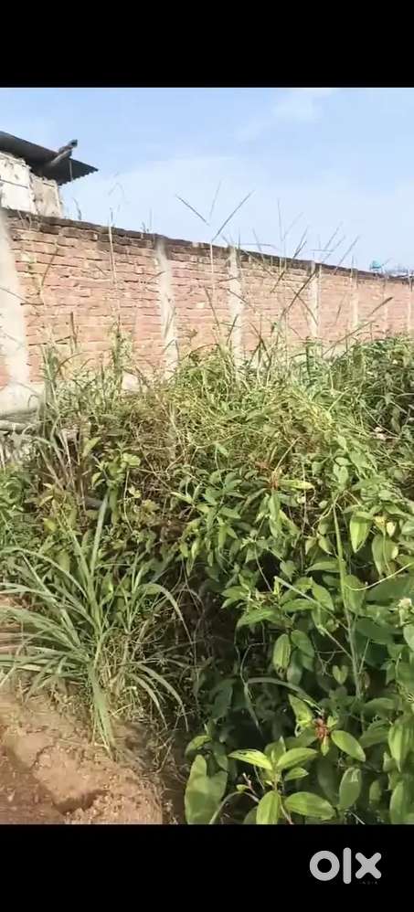 Land for sale