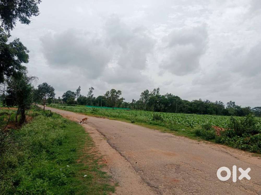 4 Acres Agri Land for Sale near National Highway