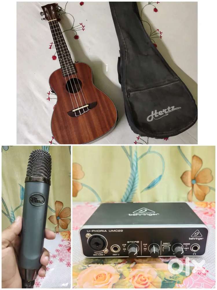 Mic, Ukulele, A- interface
