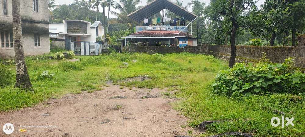 Lovely plot for sale in perumpuzha