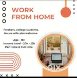 Online work from home (Part time)