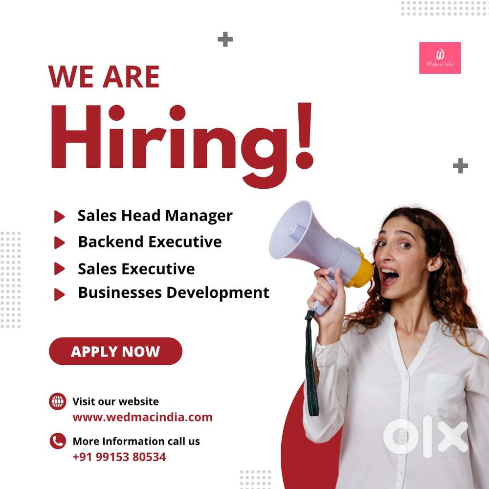 Sales executive and business development