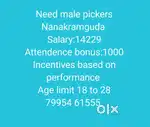 Wanted male (picker&loader) Nanakramguda
