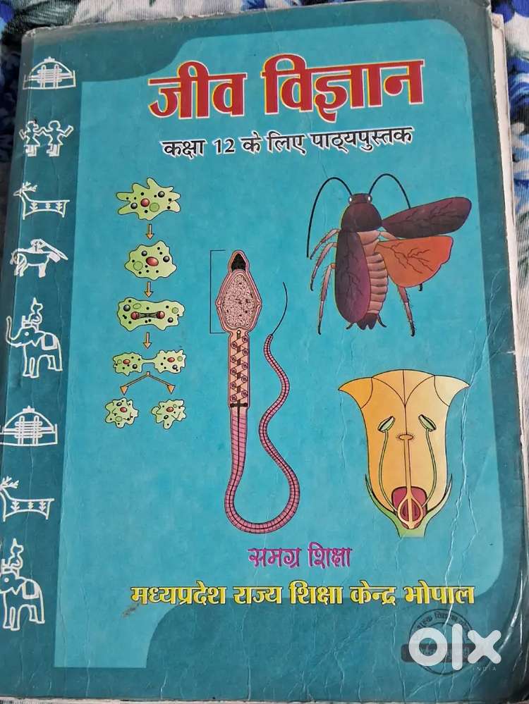 NCERT book for class 11 and 12 hindi medium