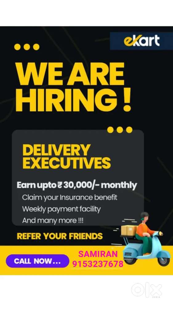 Shipment Delivery Executive