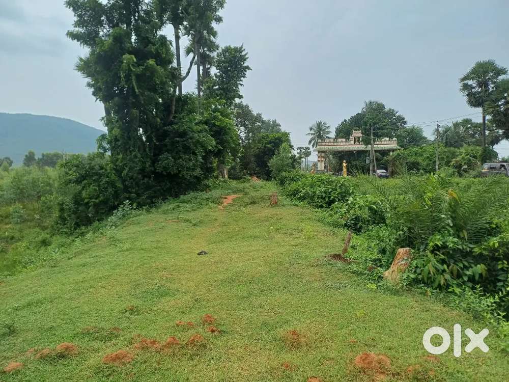 LAND FOR SALE 17 CENTS IN NEAR KONDAKARLA CENTER WALKBLE DISTANCE MAIN