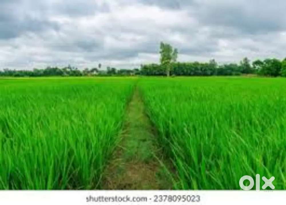 Agriculture Land sale