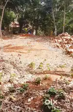 6cent Houseplot for sale