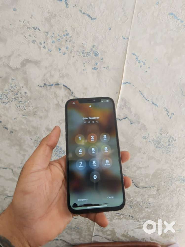 Ipgone 12pro max