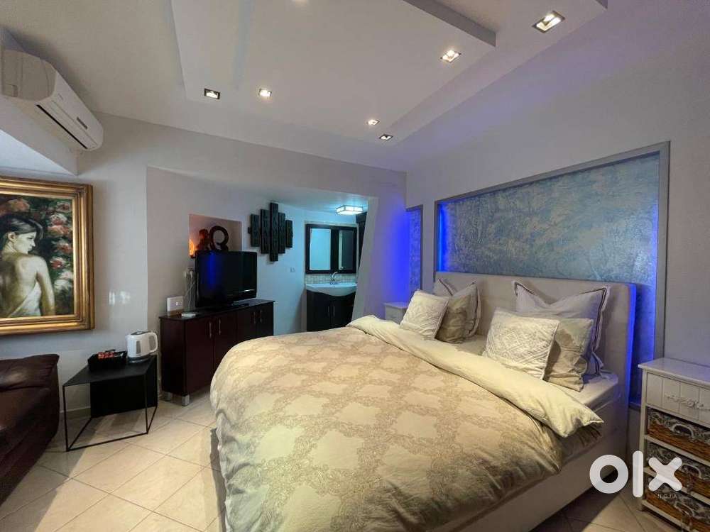 LUXURY PG in sector 45,46,47,32,39