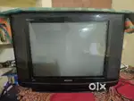 Television