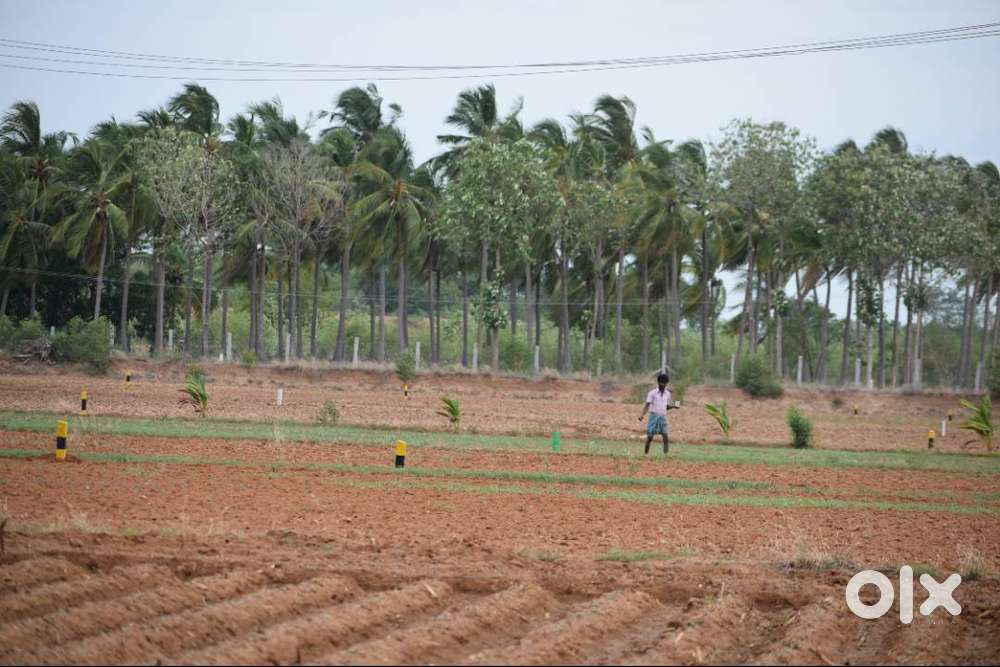 MADURAI LOW BUDGET LAND PER CENT RS.23,000/- ONLY