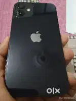 I phone 12 mini
