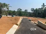 Budget plots for sale