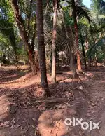 30 cent plot for sale in nileshwar