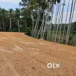 Land for sale at Arakkunnam Mulanthuruthy