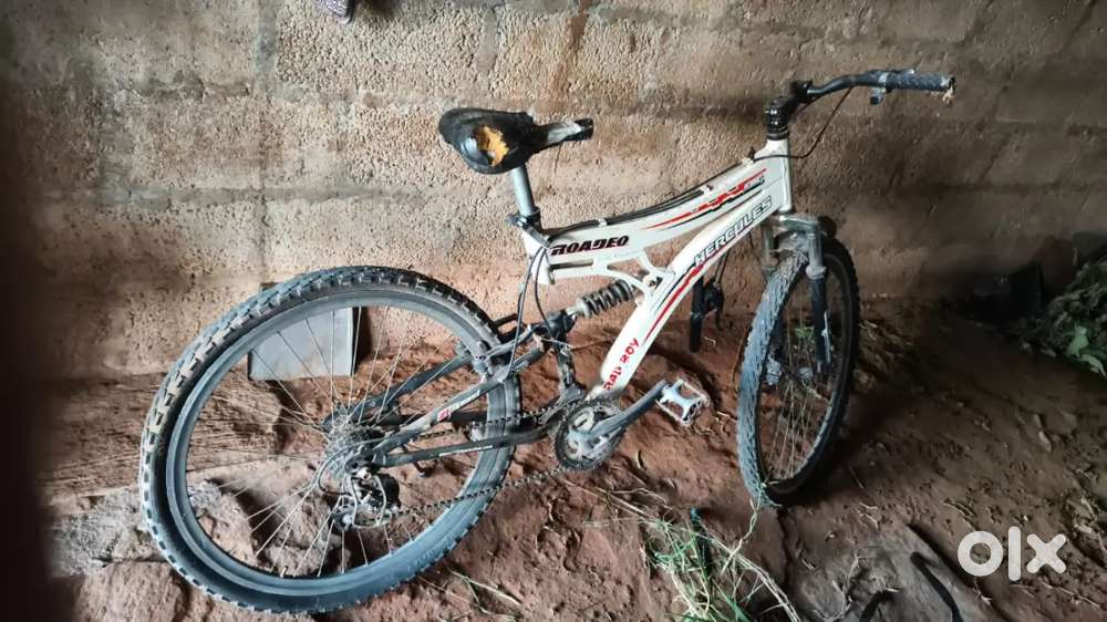 CYCLE IS IN GOOD CONDITION BUT THE HANDAL WAS BRAKEN