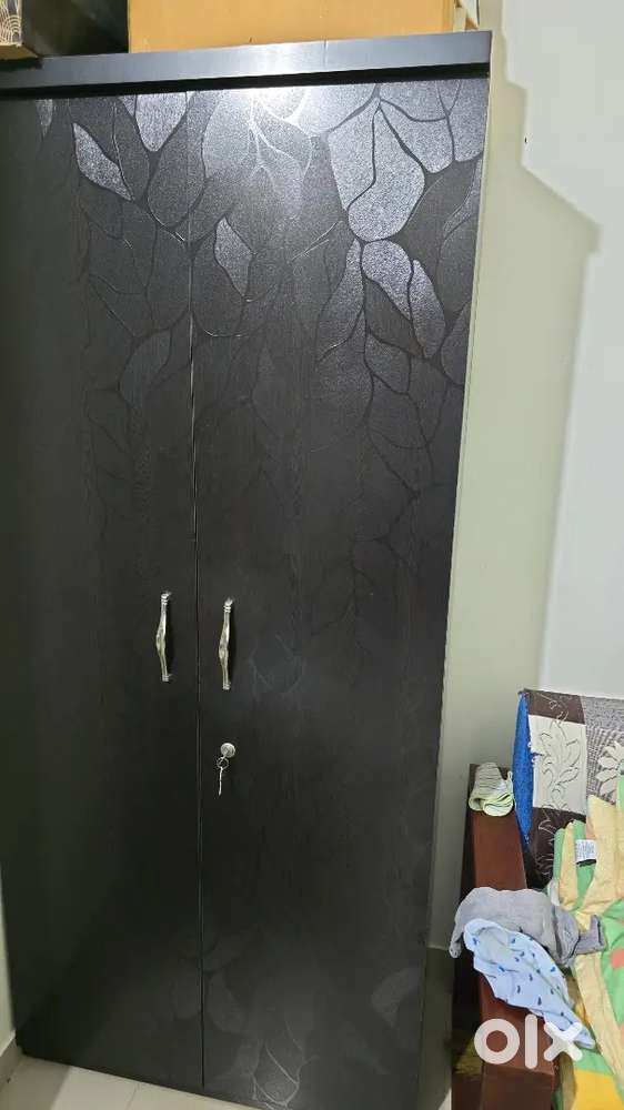 Wardrobe - 2 door Elegant design Balck Matt Finish