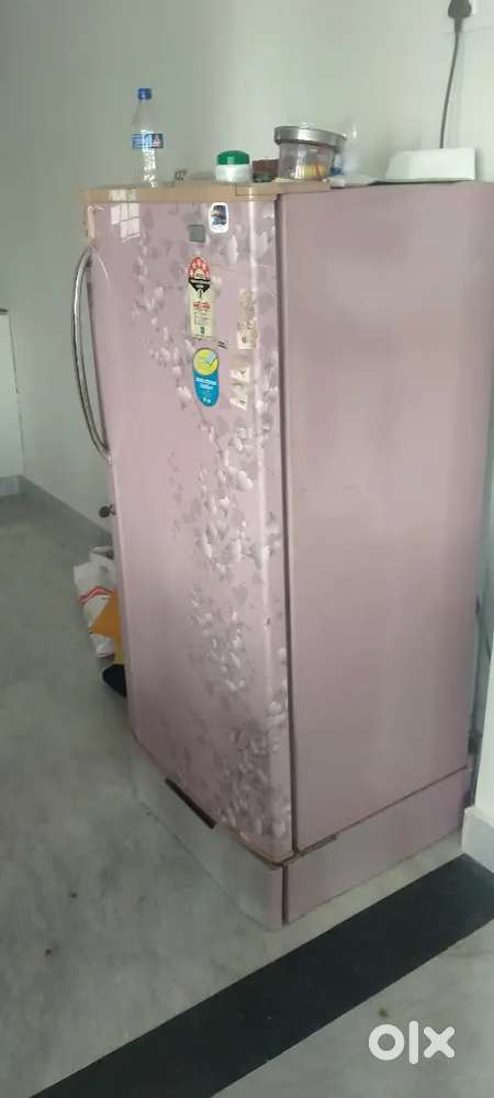 Full condition feize