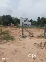 Land For Sale in Road side - Karur Road Opposite to Amirtha Vidhyalay