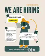 Urgently Required an Accountant