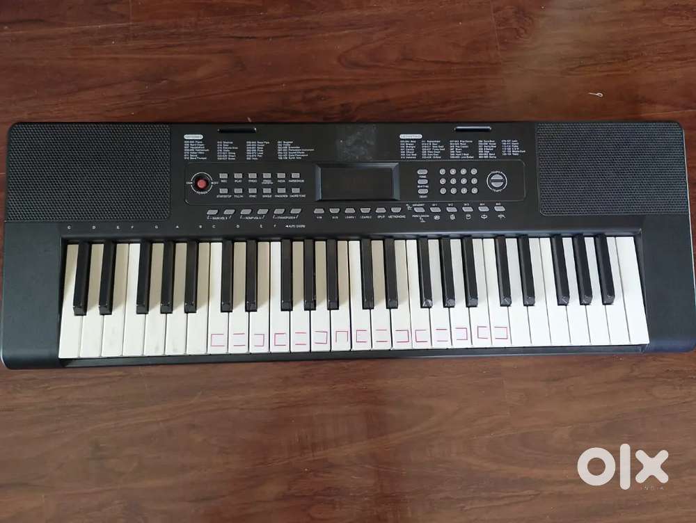49 full-sized key, 200 rhythms, 200 timbres, and 50 demo songs.