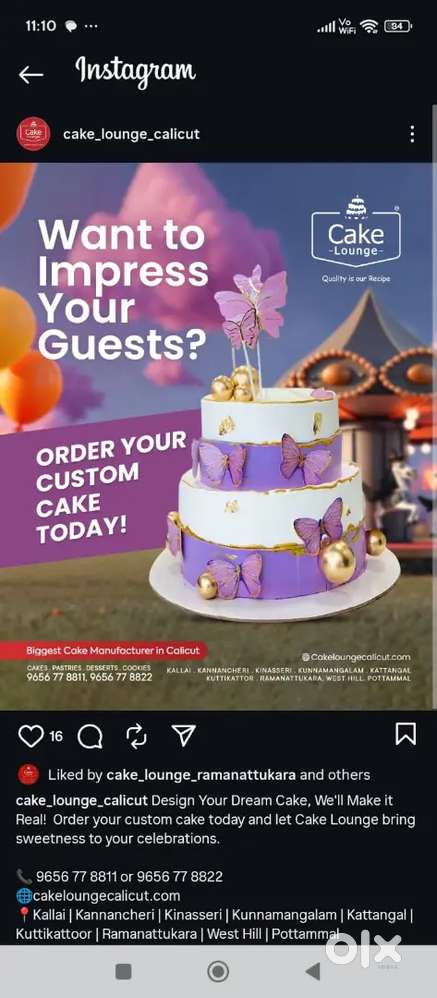 Cake shop office accountant
