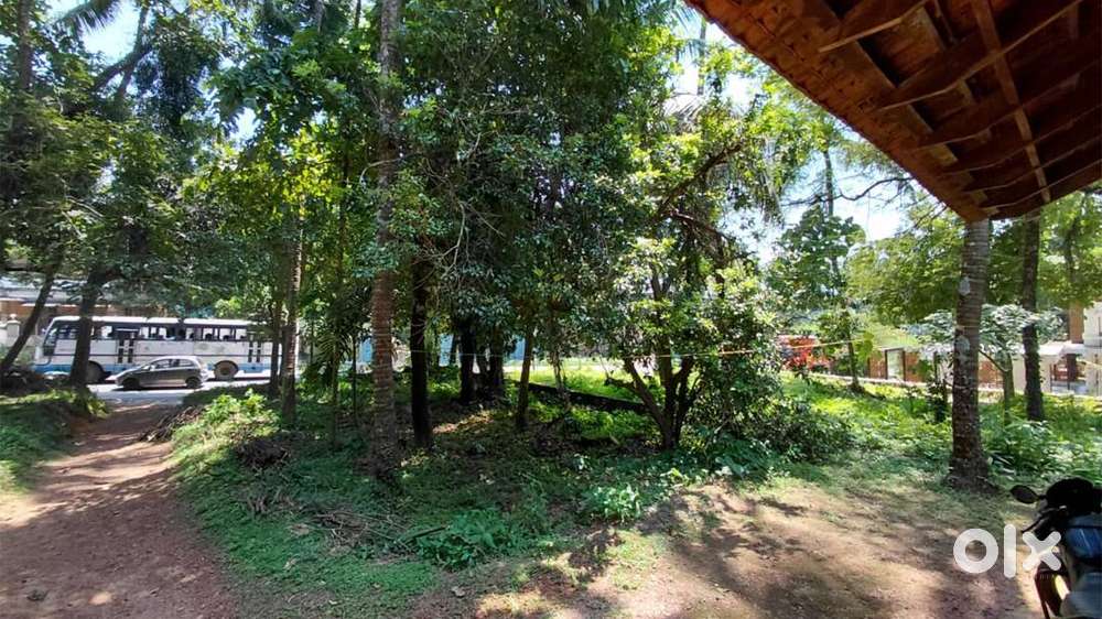 P-01575 Plot at KOTTAYAMPOYIL , KANNUR