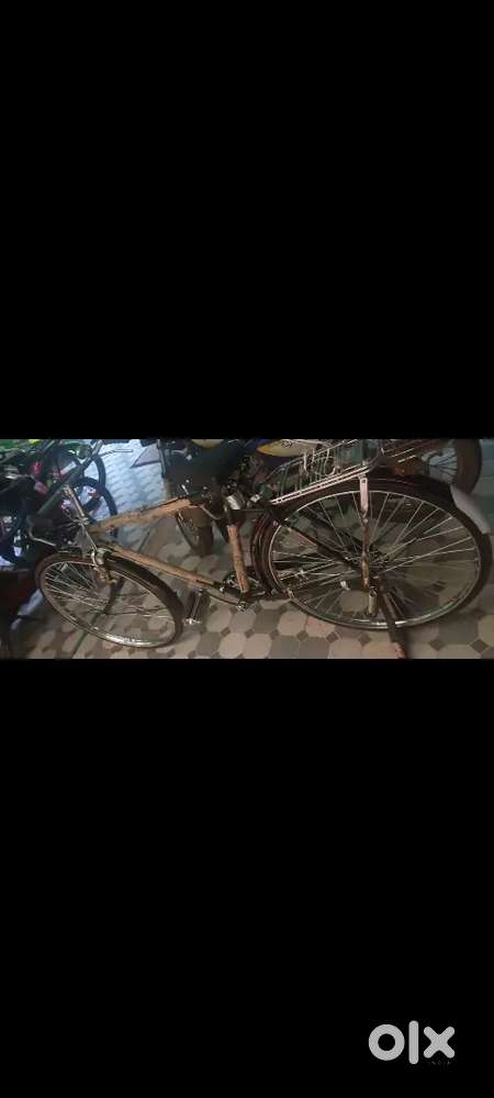 New cycle 22 inch