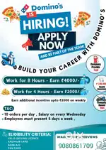 Domino's pizza delivery work
