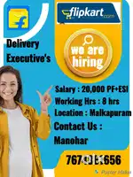 Delivery Executive