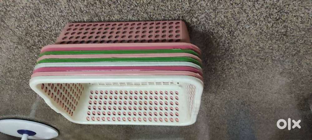 Plastic trays