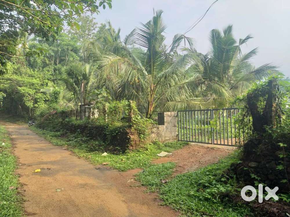 Industrial/Ware House/Farm Plot & House Plots at Palissery, Krukuty