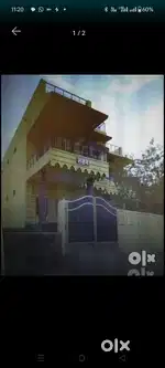 Near Parida Nursing Home, Behind DC Banglow Ambikapur