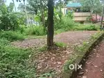 Near madhyamam daily office vellimadukunnu 8 cent land