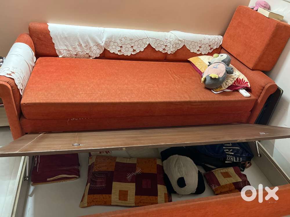 Sofa cum Bed