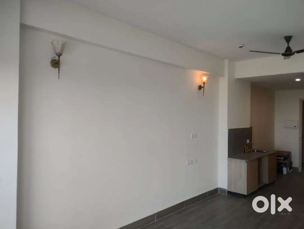 1bhk flat for rent