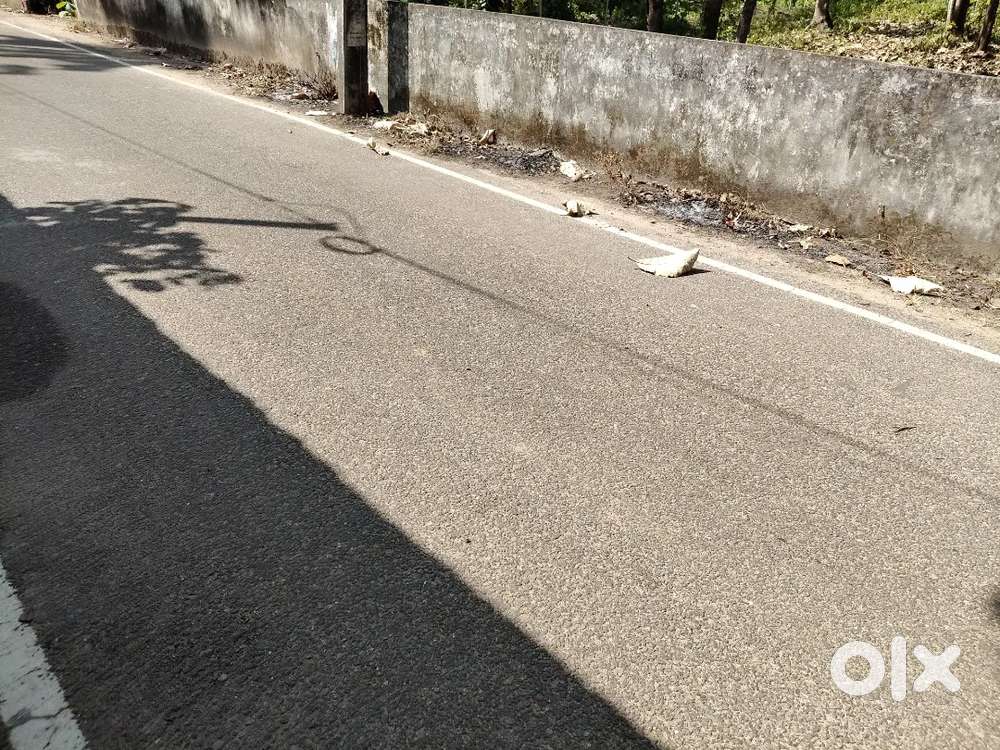 Aashramam near uliyakovil Temple 35Cent Will give as 5 Plot's.