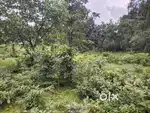 1.35 acre land for sale Manipal to hiriyadka road