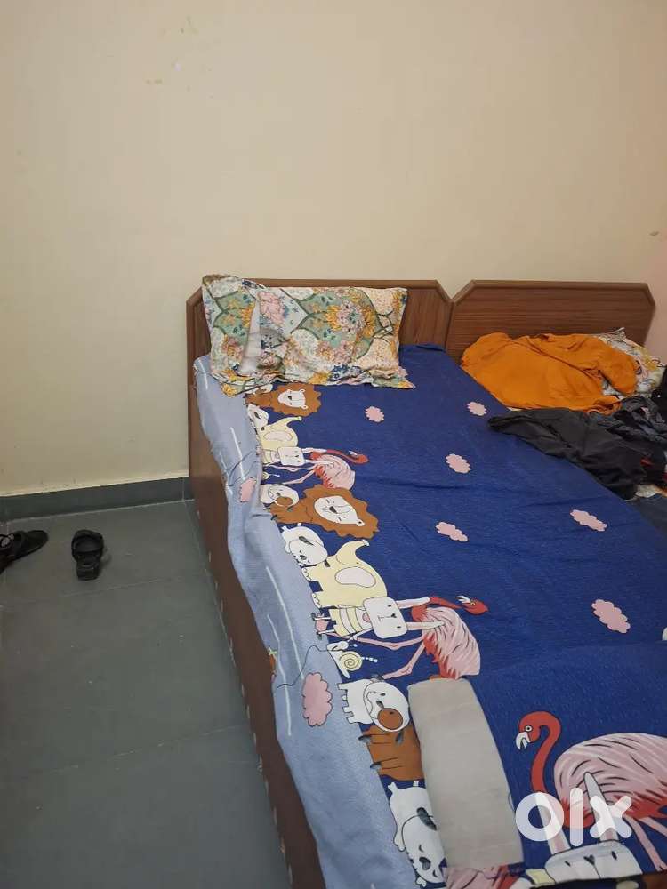 Need room partner only girl