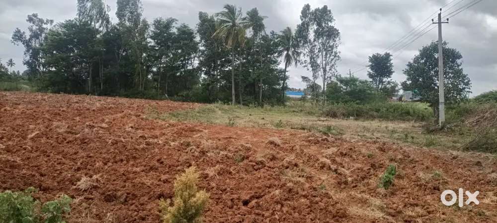 Royal sky properties