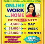 Dear Candidates, Need All Kinds of Fresher’s & students