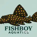 Helper needed for an aquarium shop