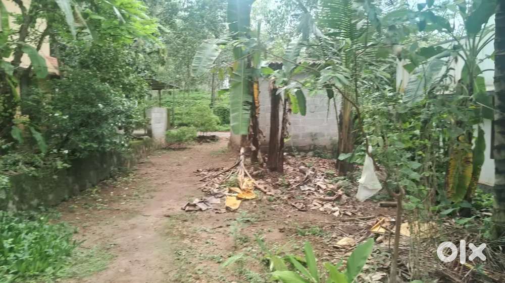 45 cent plot for sale