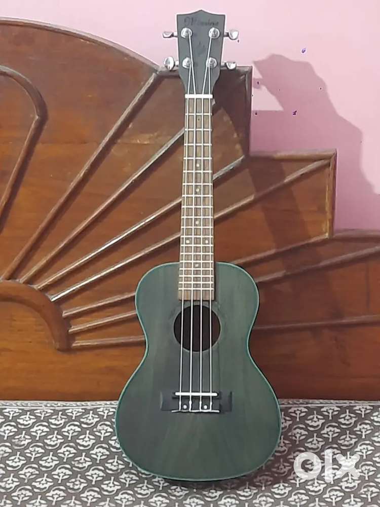 ukulele with nylon strings