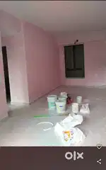 Hamid painter Dewal Rong karo haiDewalDampTile Grout kaj Nijerkaro,hai