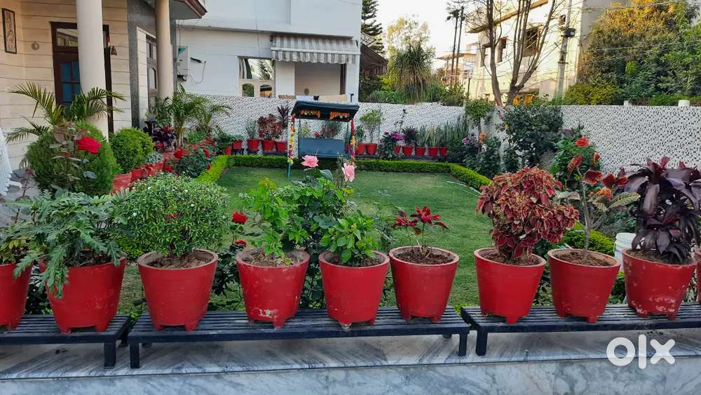 Beautiful room, kitchen n wash room available rent at Greater Kailash