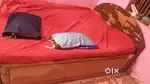 Double size bed
