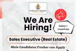 Male Real Estate Sales Executive: Location - Ulwe