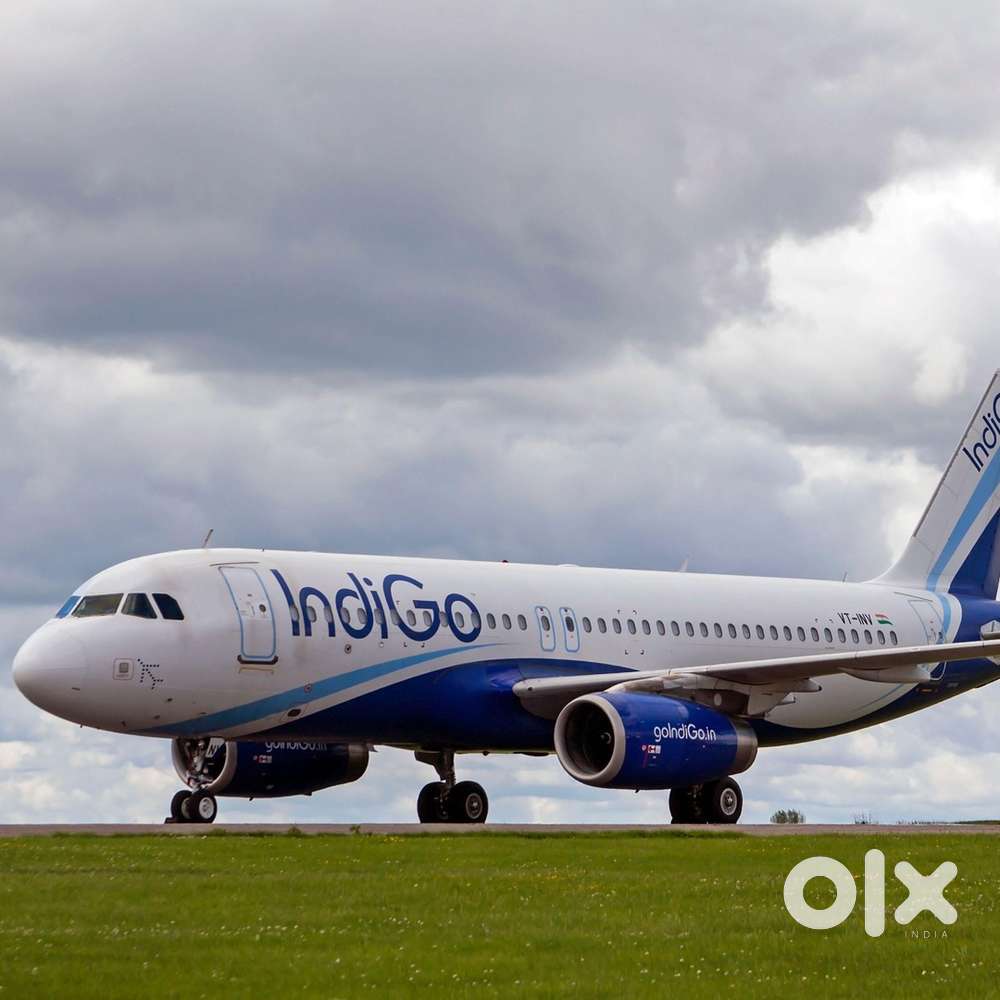 Urgent Requirement For Ground Staff Jobs In IndiGo Airlines